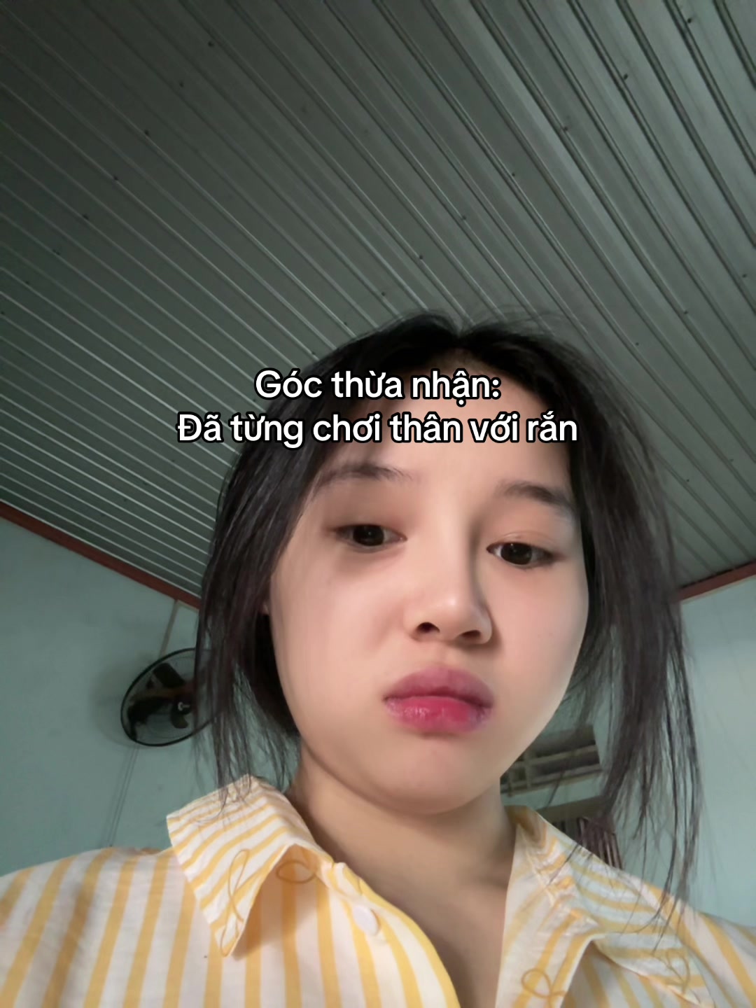 @&Uacute;t Thu&yacute;