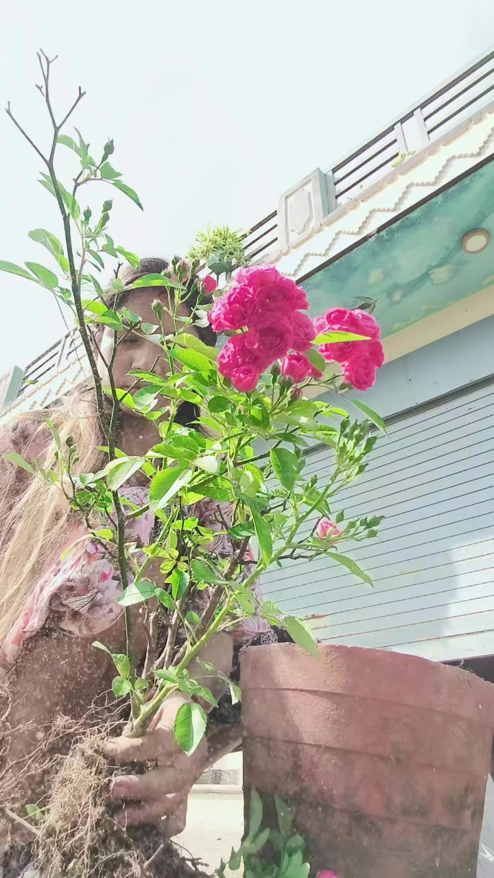 @सारा 💕दिपसन्👍️