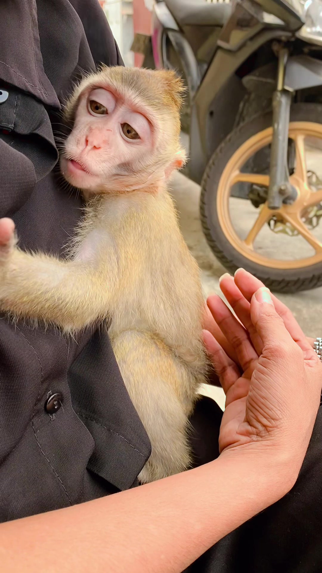@Michelle🐒