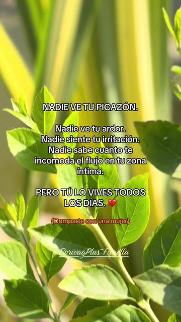 @Borivag Chiclayo y Provincias