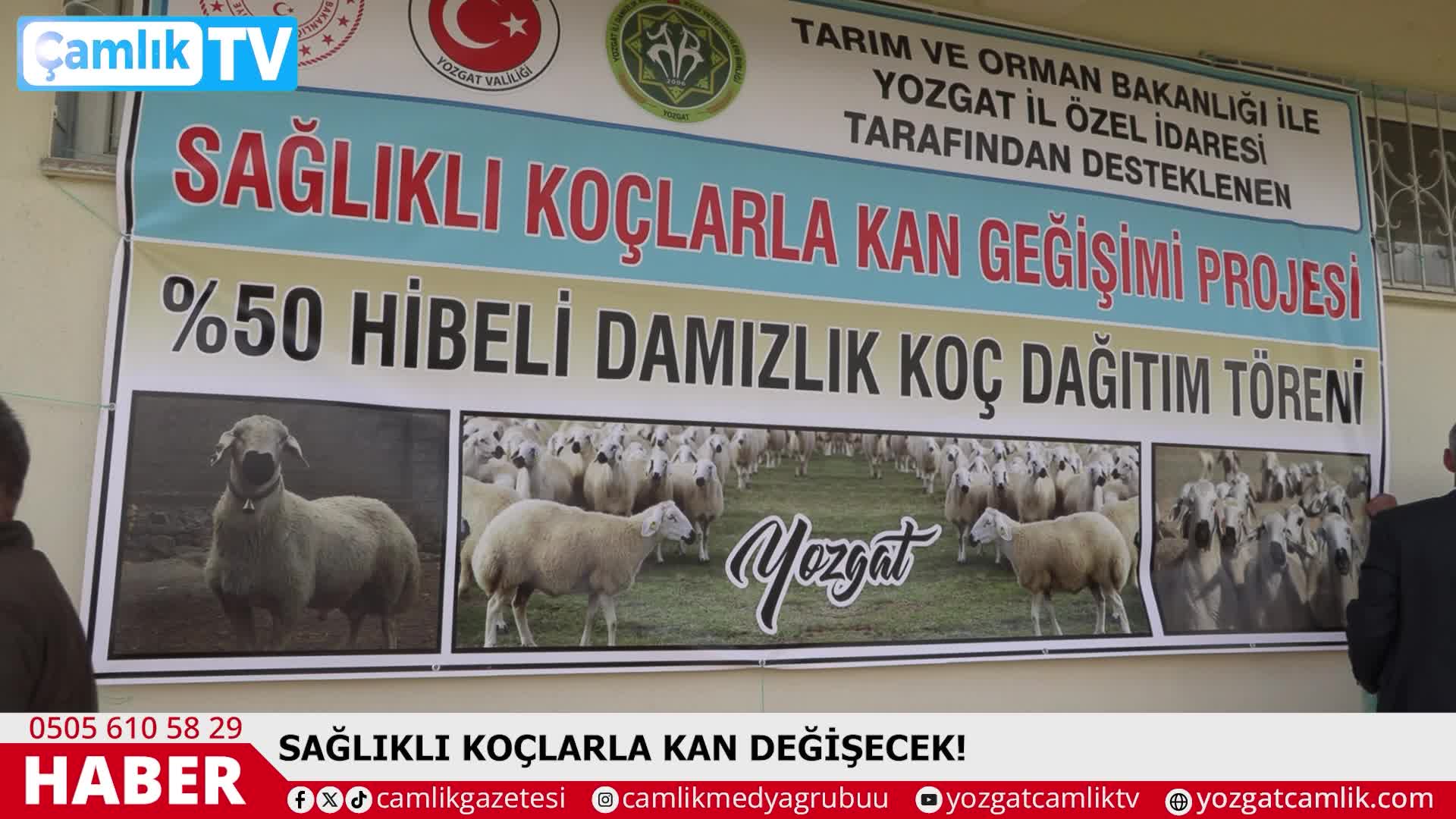 @camlikgazetesi
