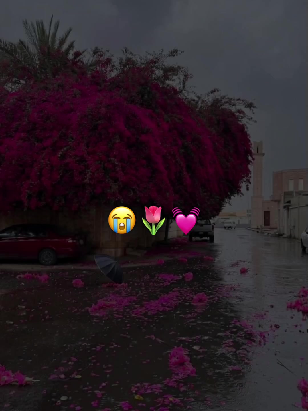 @ՏᑭIᑕY🩷🦢