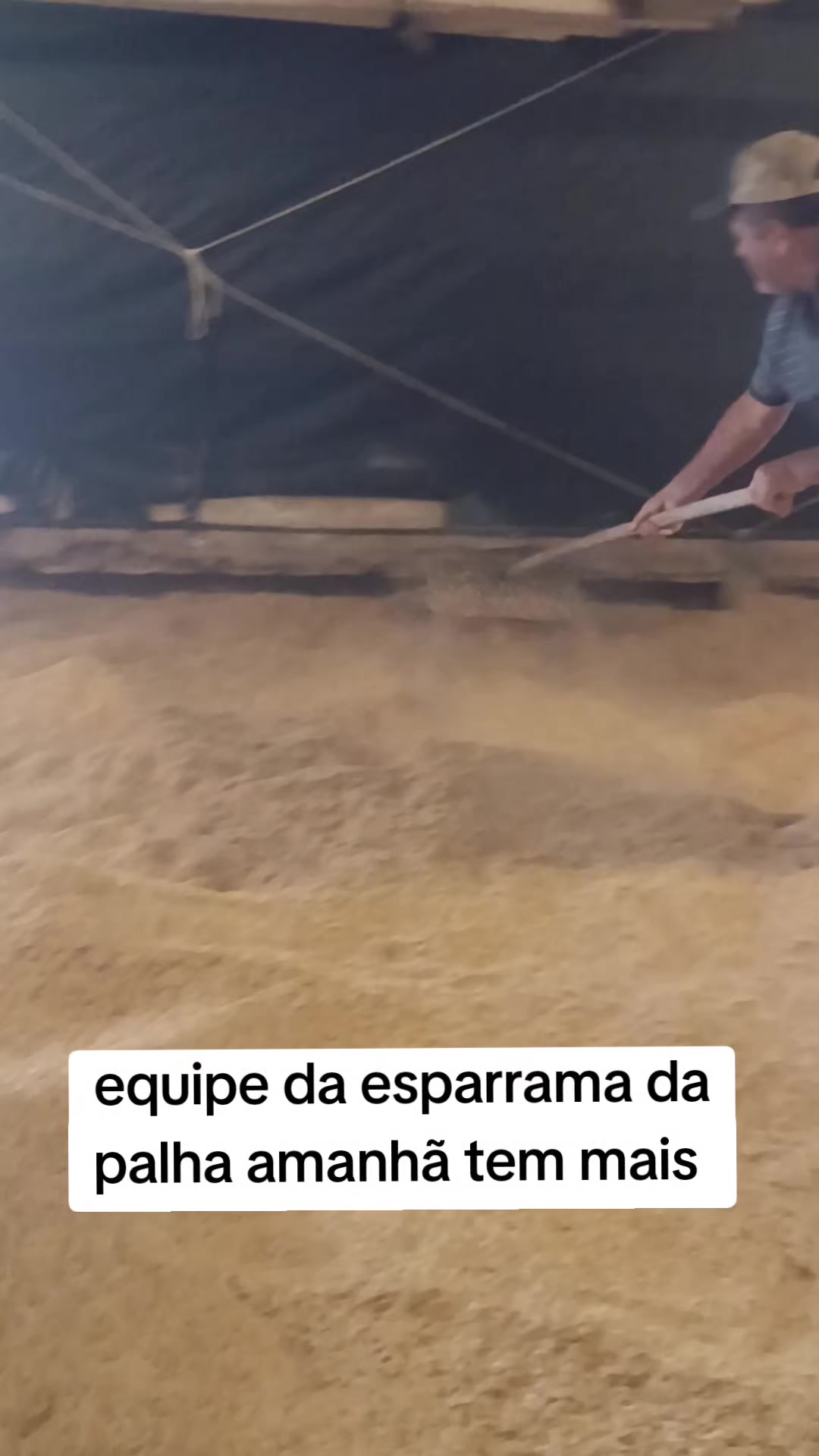 @Odair Batista