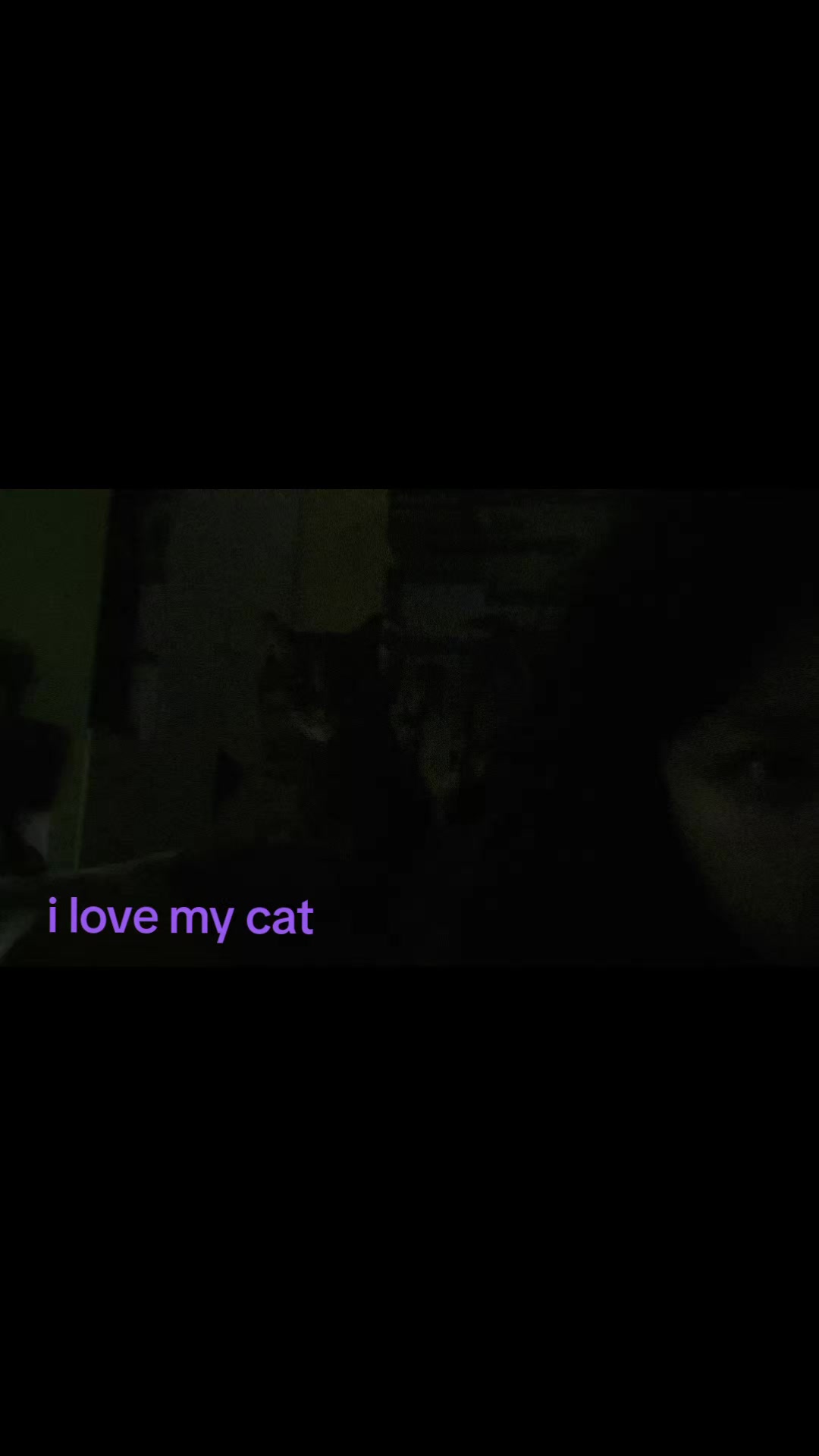 @bloodycheese (i love my cat)