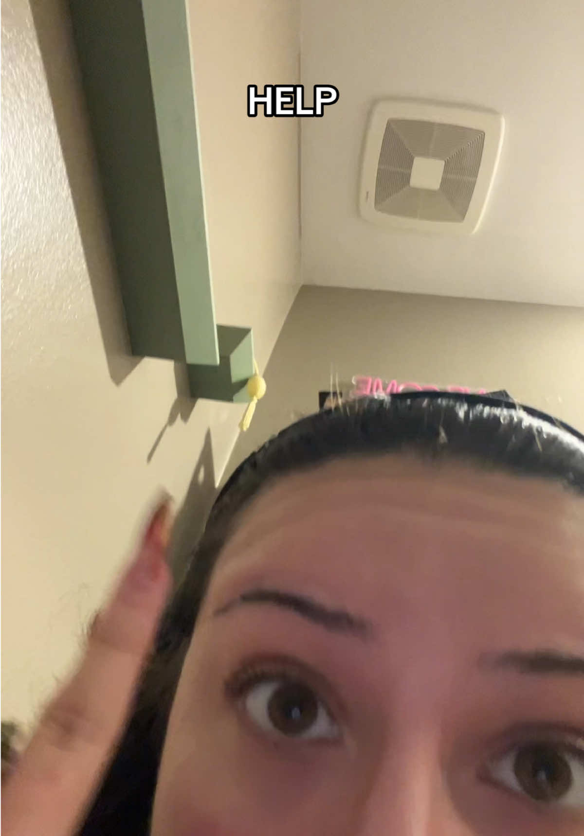 @avalisette