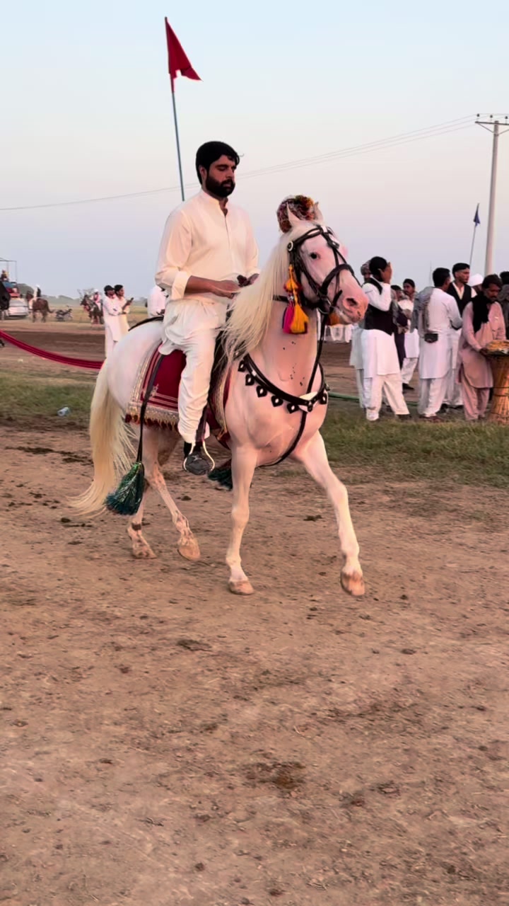 @Lord.Gujjar