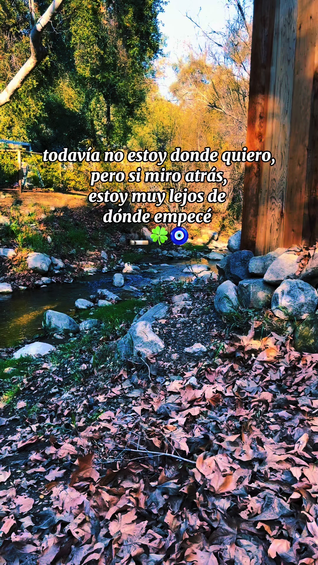 @Yis Diaz