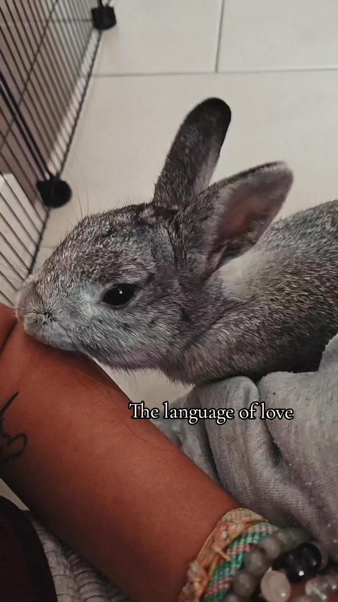 @Maëlou 🕊