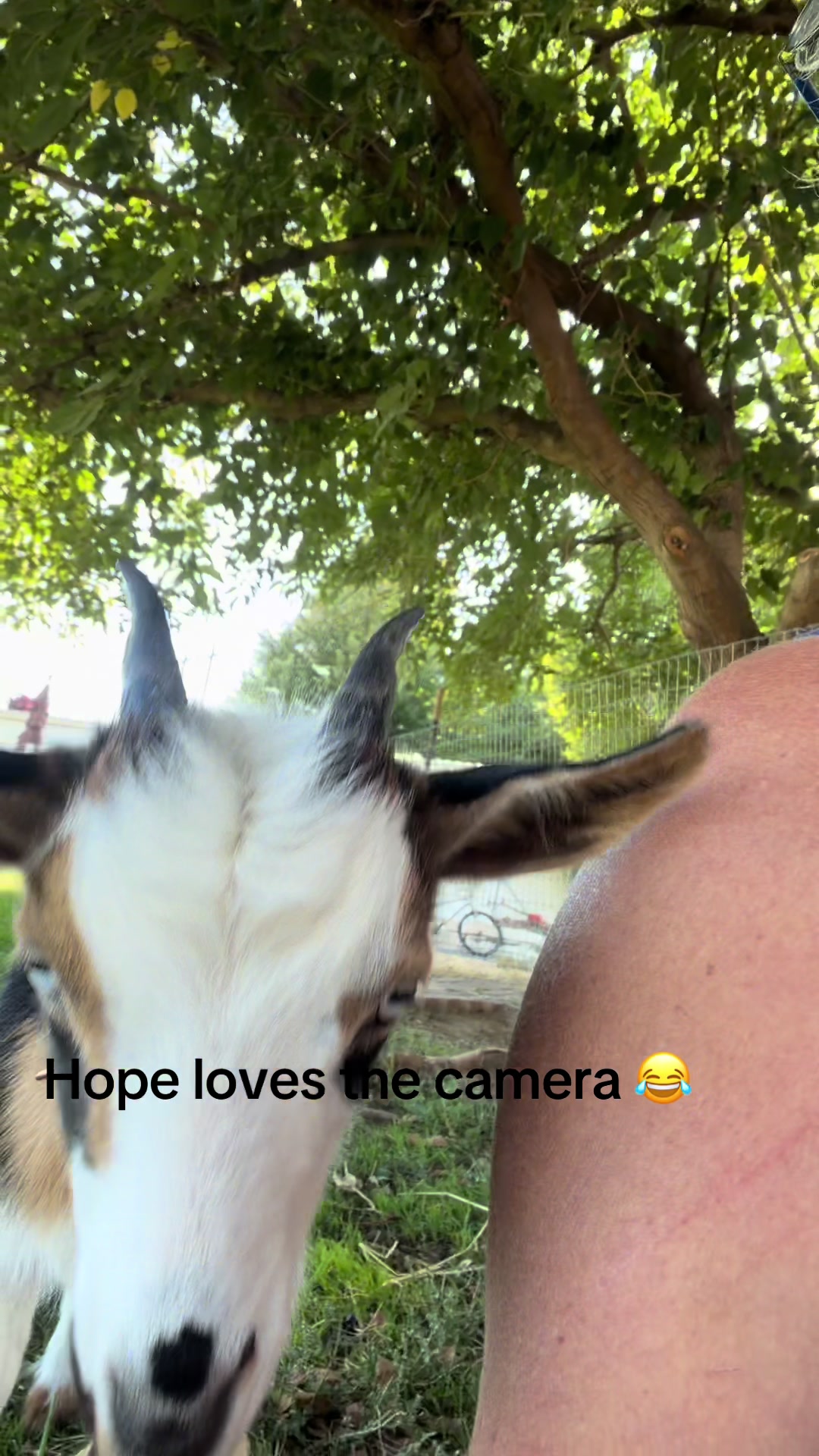 @WollamFarm