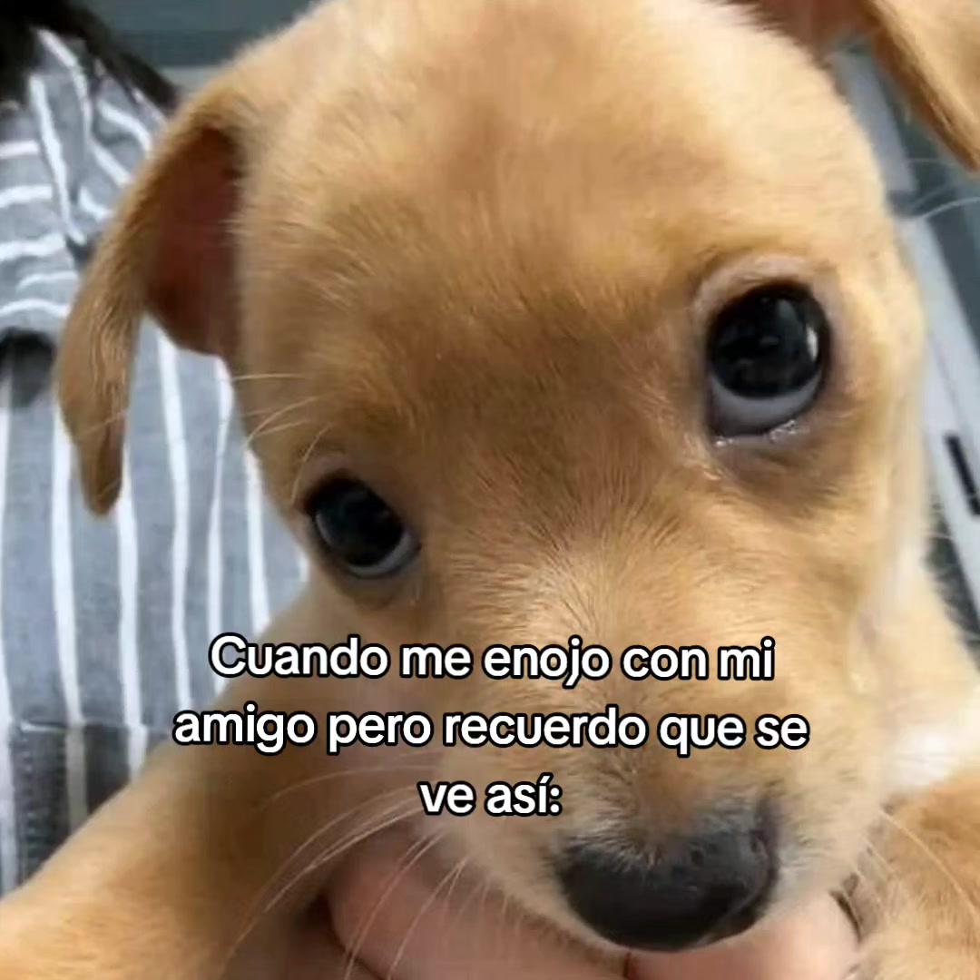 @goodvibessxd