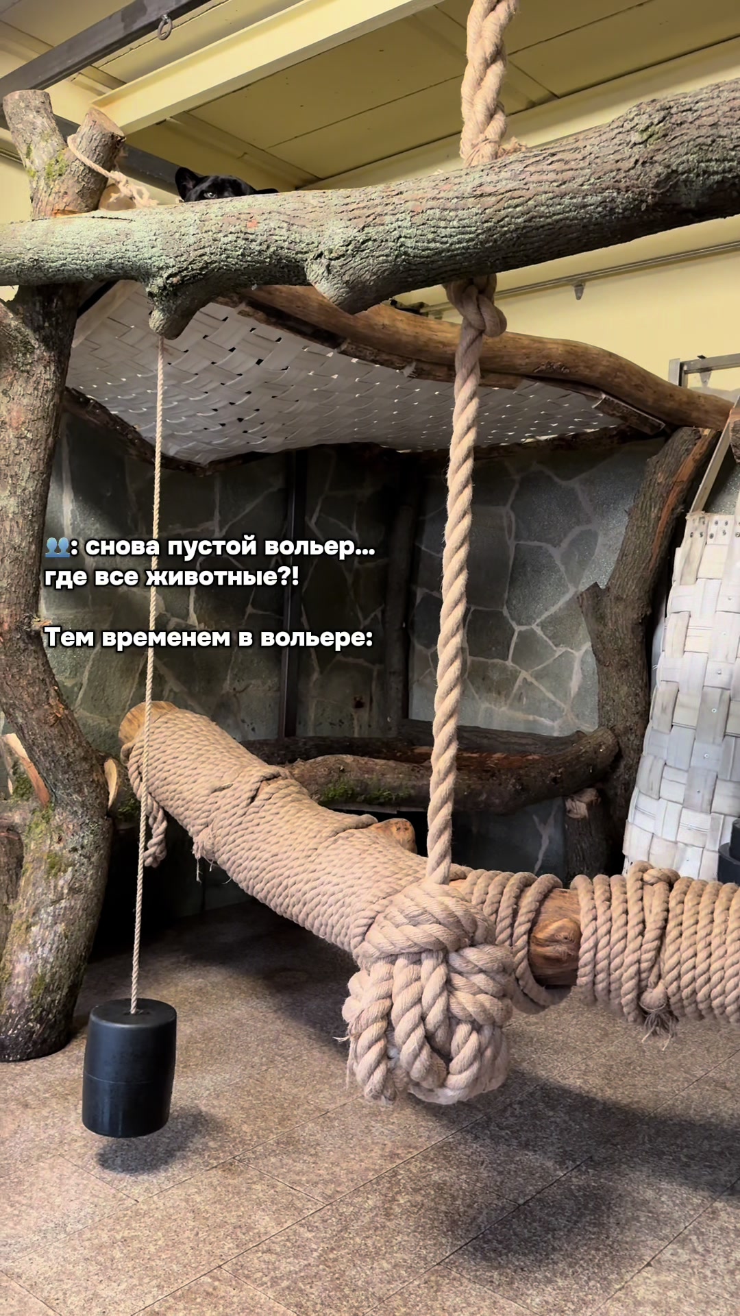 @Даша из зоопарка