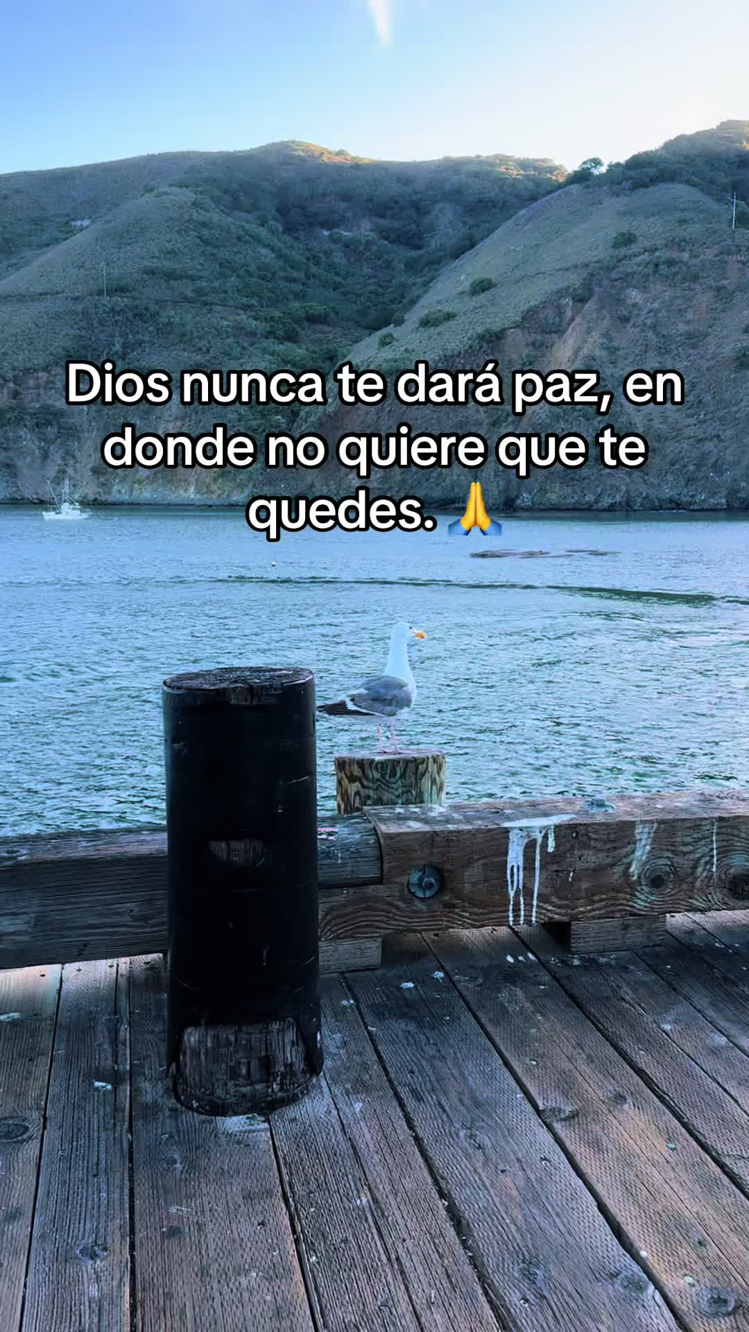 @LaMari