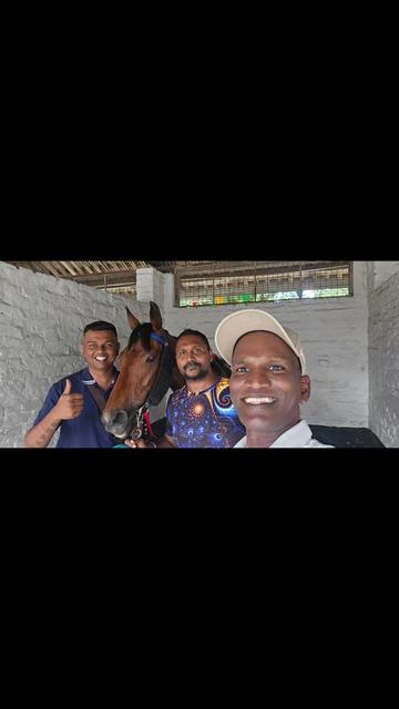 @kevin 🏆🏇🏇🏇🏆 🇸🇬🇲🇾🇳🇿