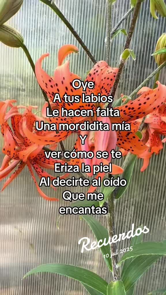 @⚜️✨🪗pablocarbajal63🪗🔱👑🦾🦍