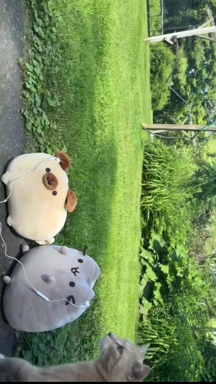 @Kiki🐠