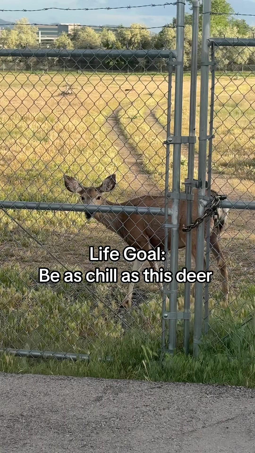 @Mimi