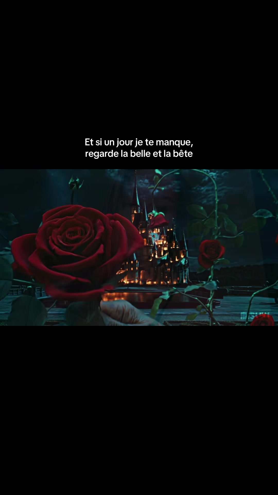 @𝓛𝓸𝓾𝓲𝓼𝓮