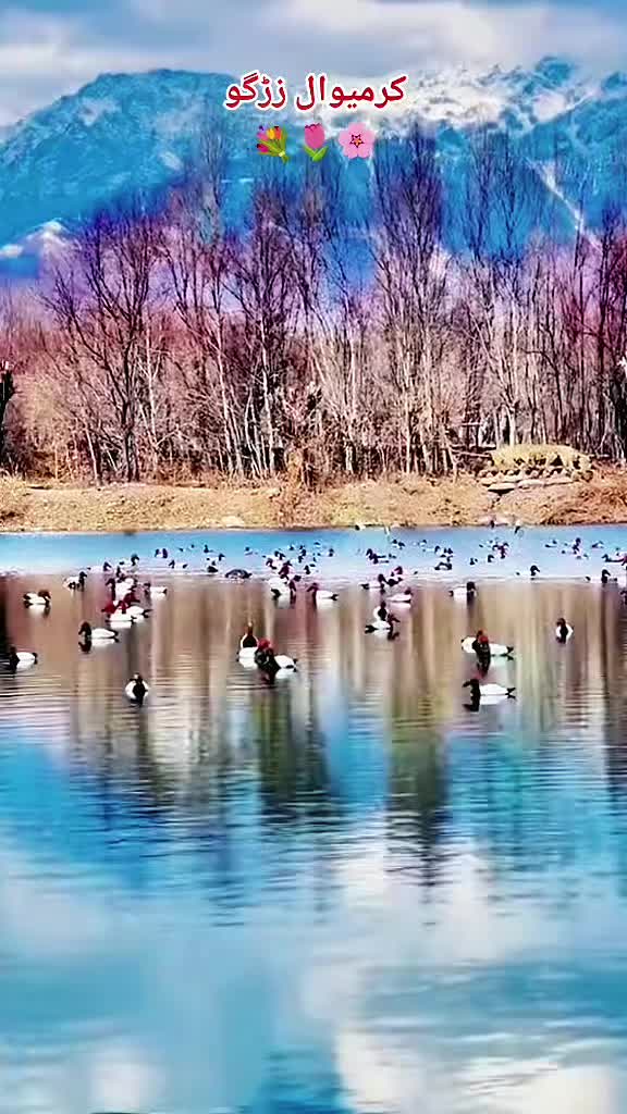 @🫀کـرمیــــوال زڑگــــو🫀
