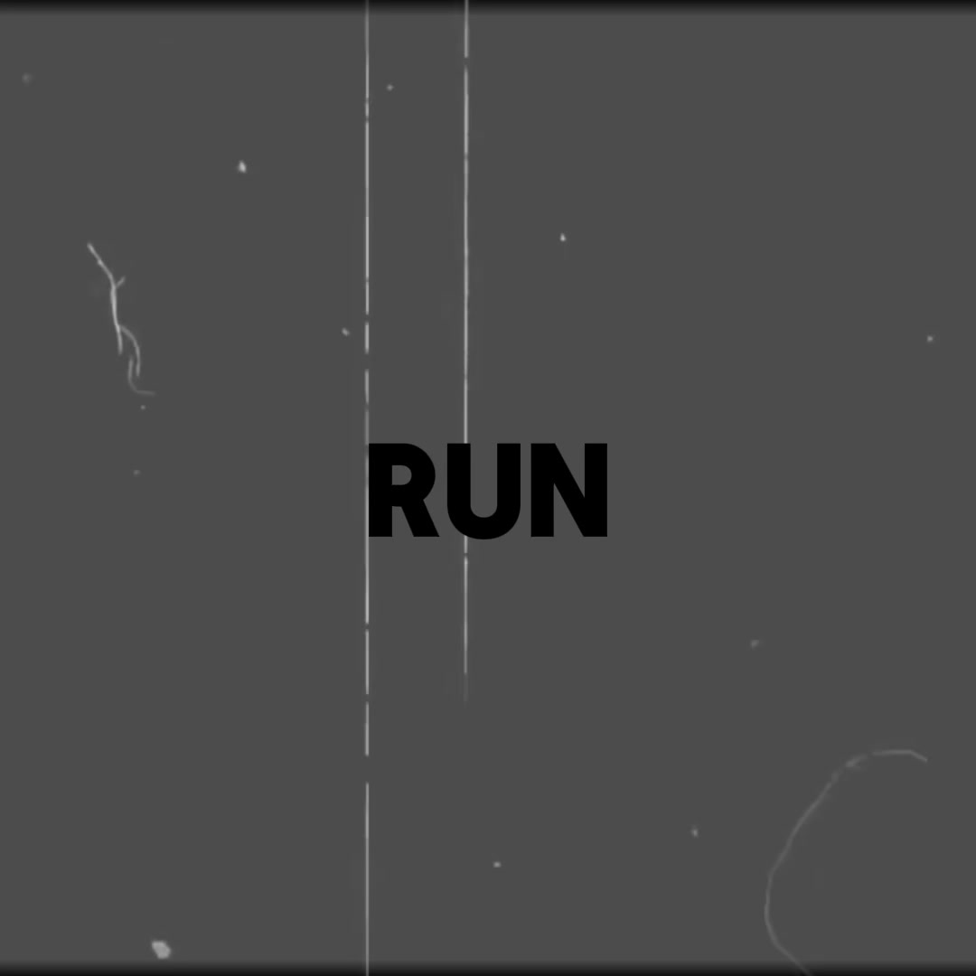 @♯ ⋮ 𝄞 𝑗𝑜ℎ𝑛 𝑑𝑜𝑒༉ .ᐟ ★