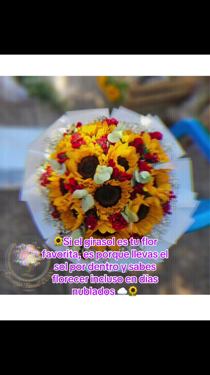@encanto_floral_luan