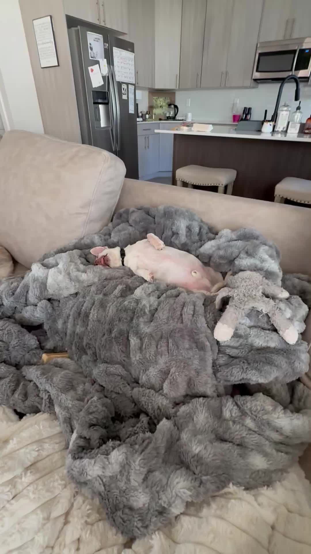 @Maximo Cornelius the Beefy Chi