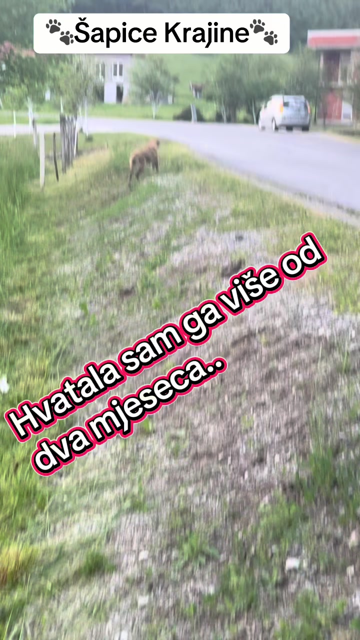 @Šapice Krajine