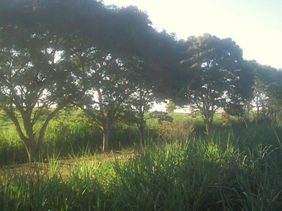 @Silent Refuges