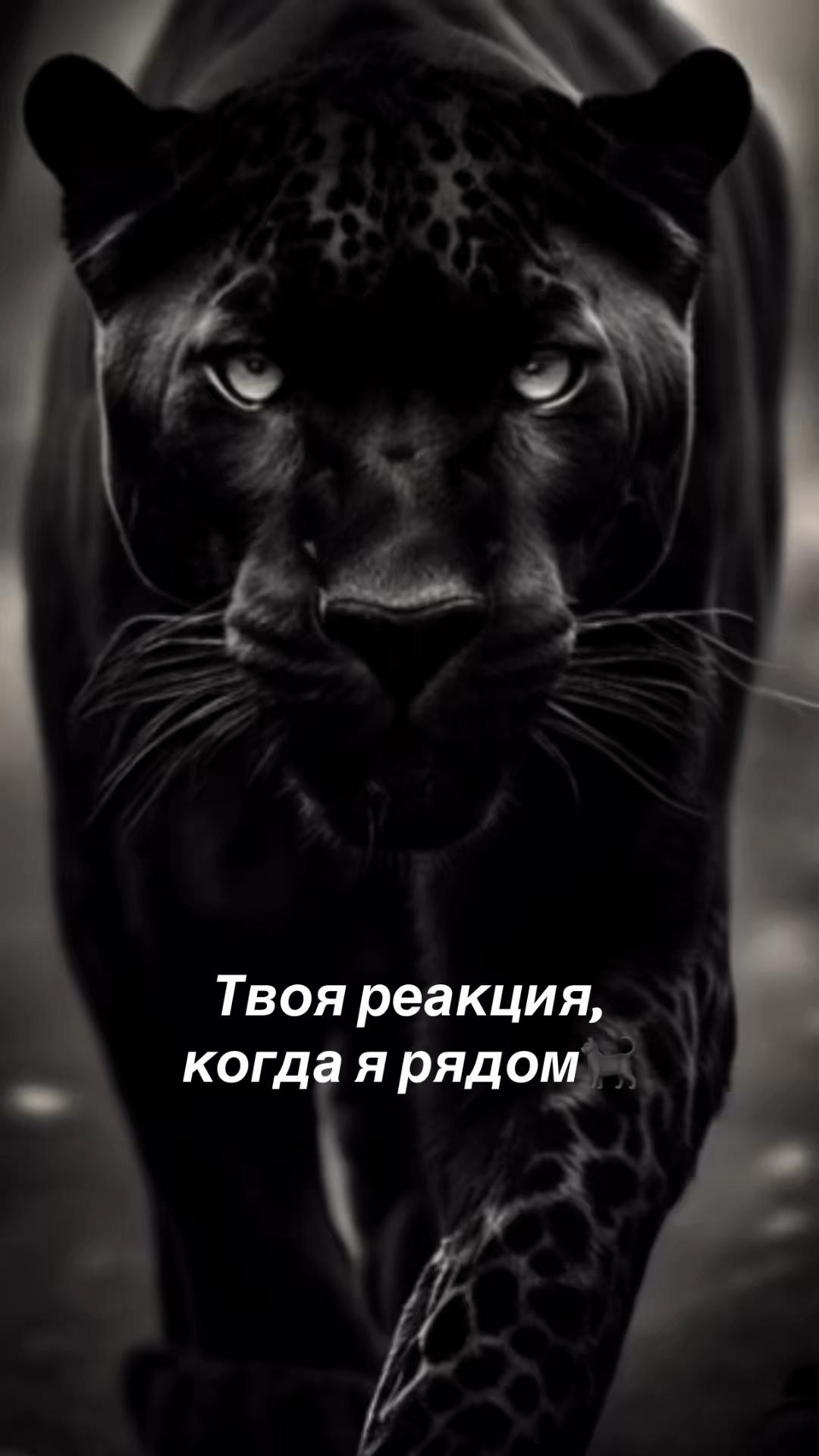 @СТИЛИСТ Ekaterina🛍️