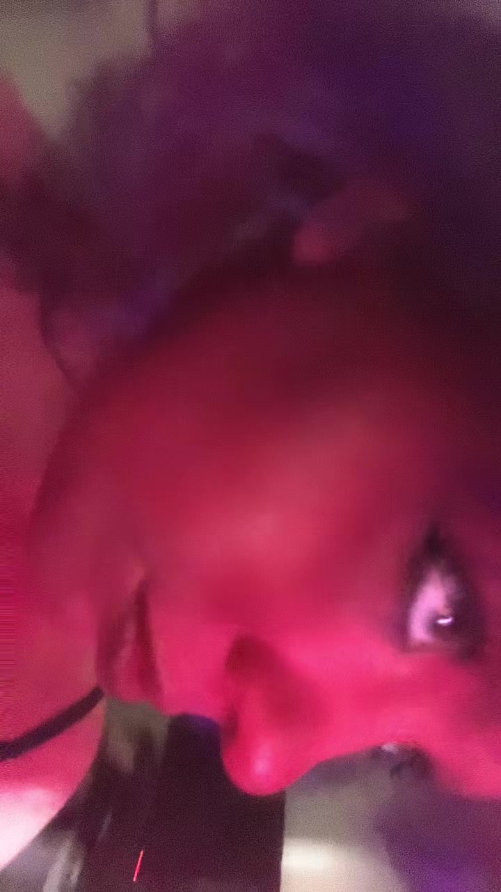 @vessy 🎪