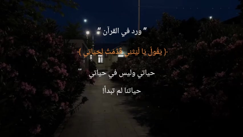 @karim hegazy