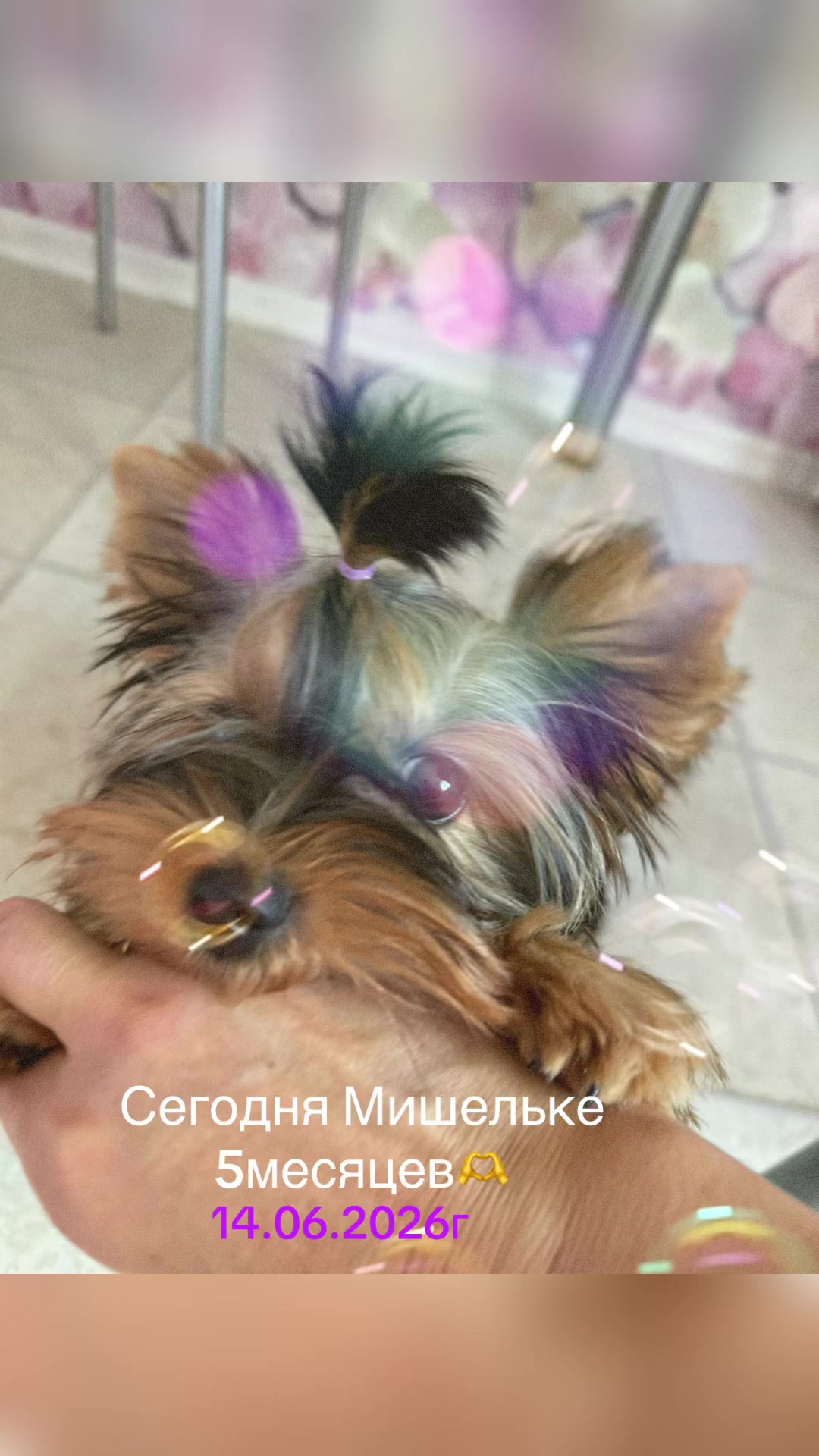 @Оливия -мой ангел🧚🏿♀️