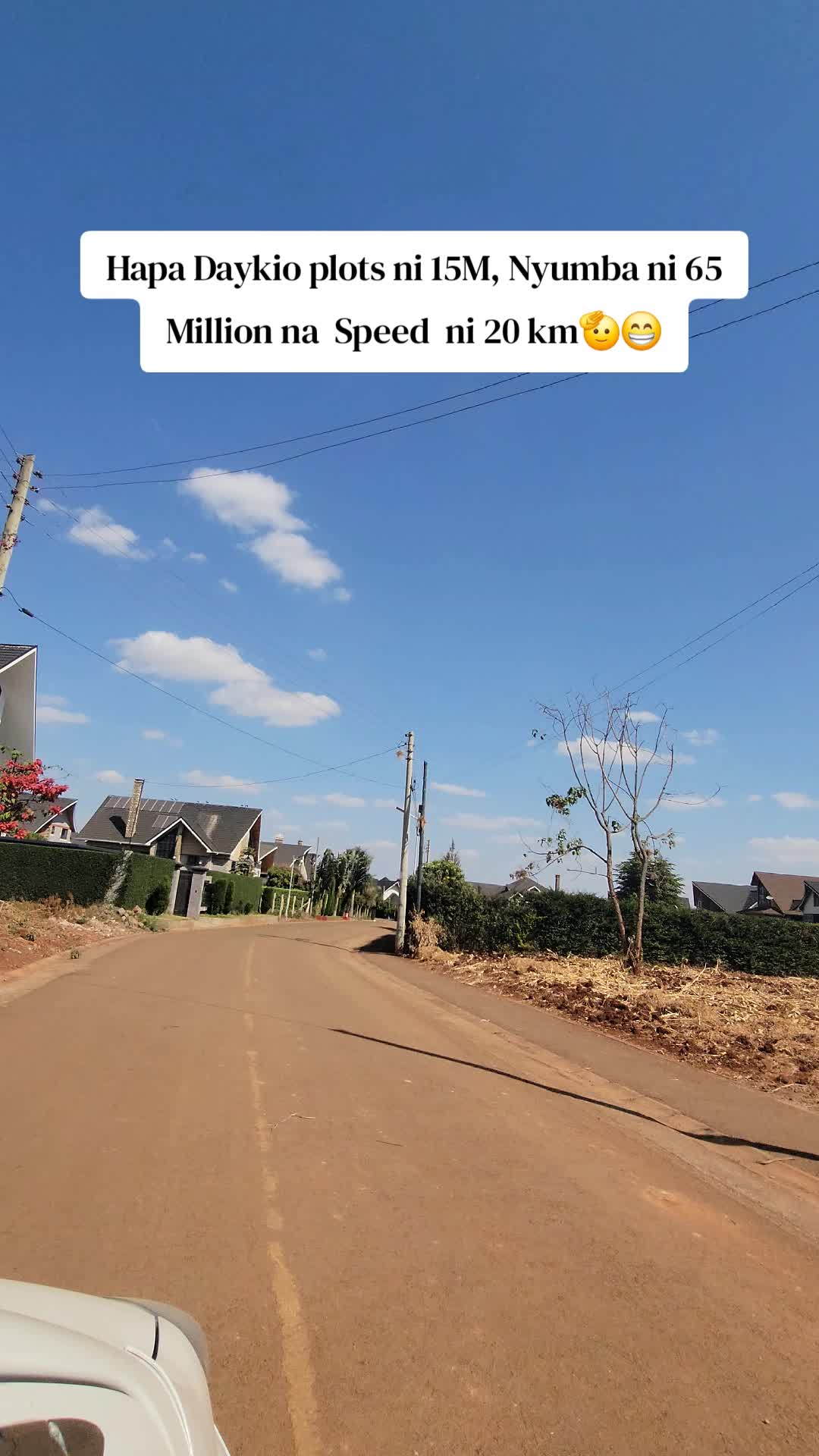 @RUIRUHOMES