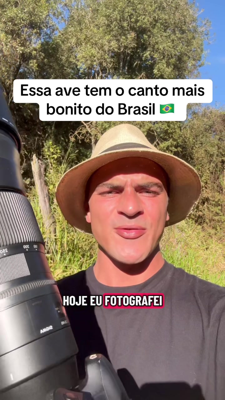 @Vinícius Köhn Pássaros