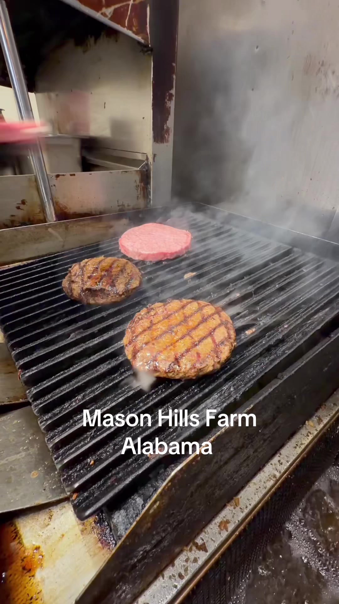 @Mason Hills Farm