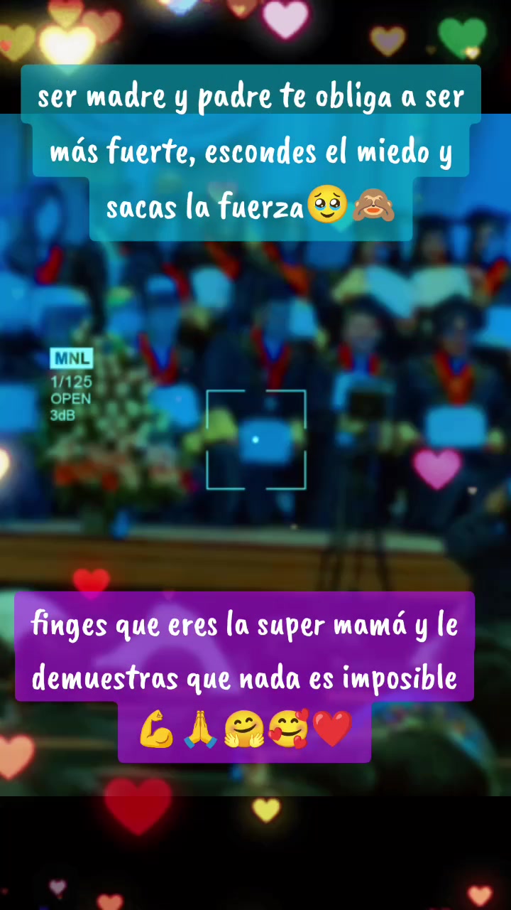 @🌺✨sycnarf💫❤️