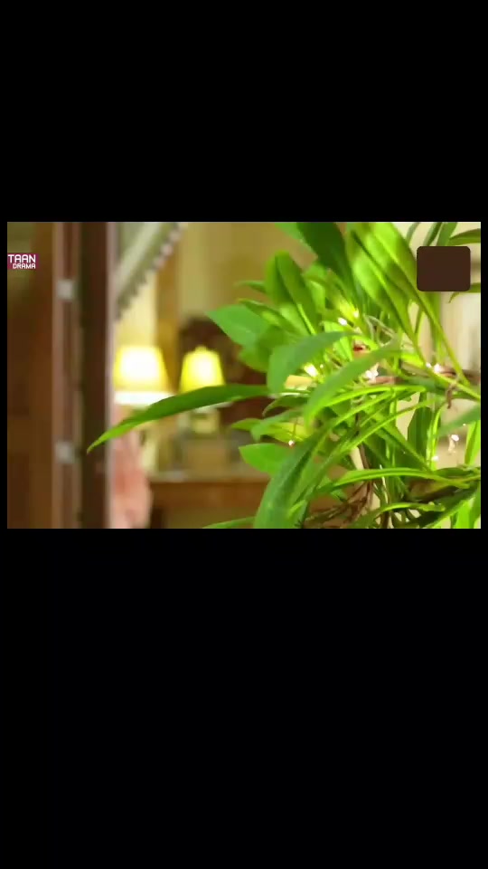 @musalsal tv