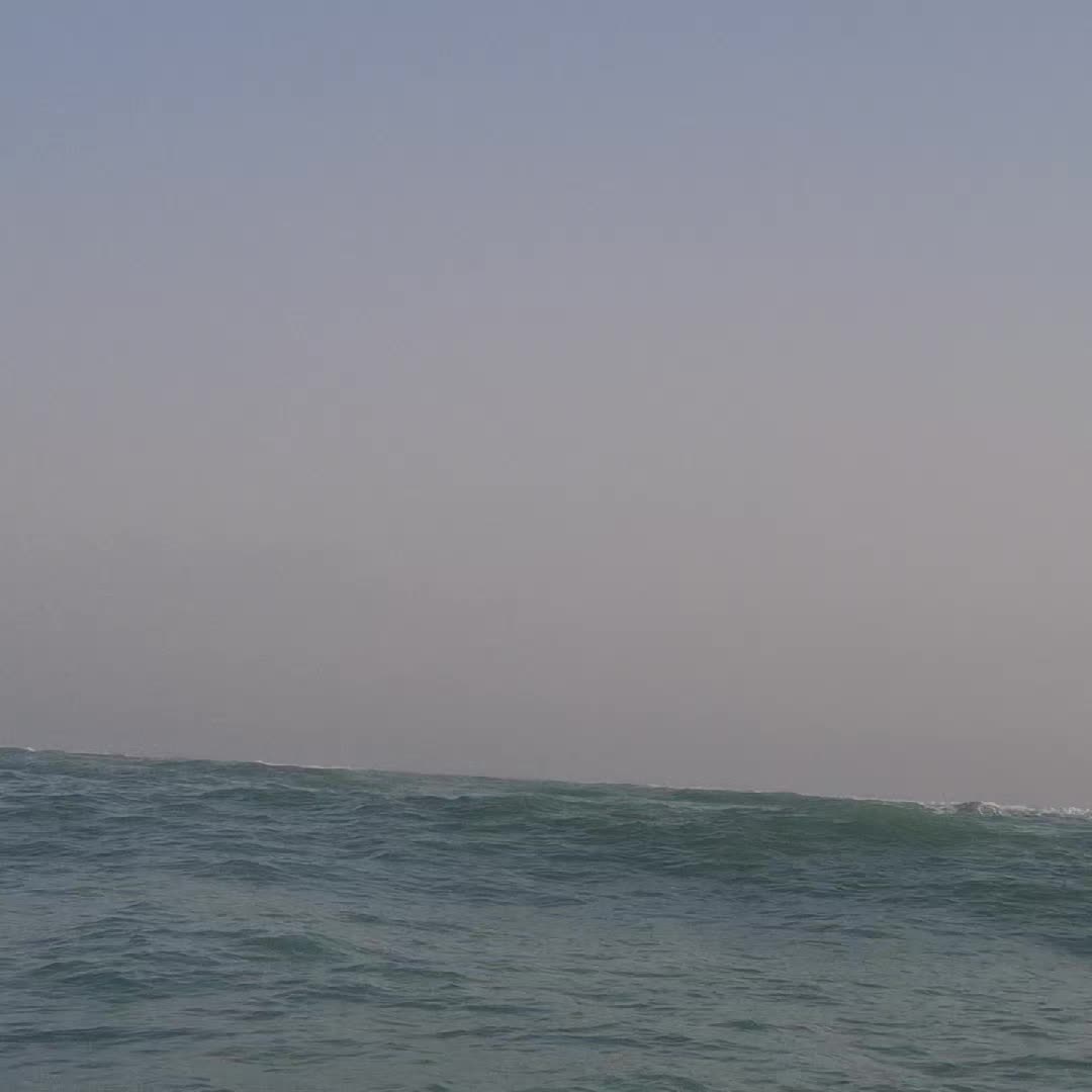@behzad gorgij