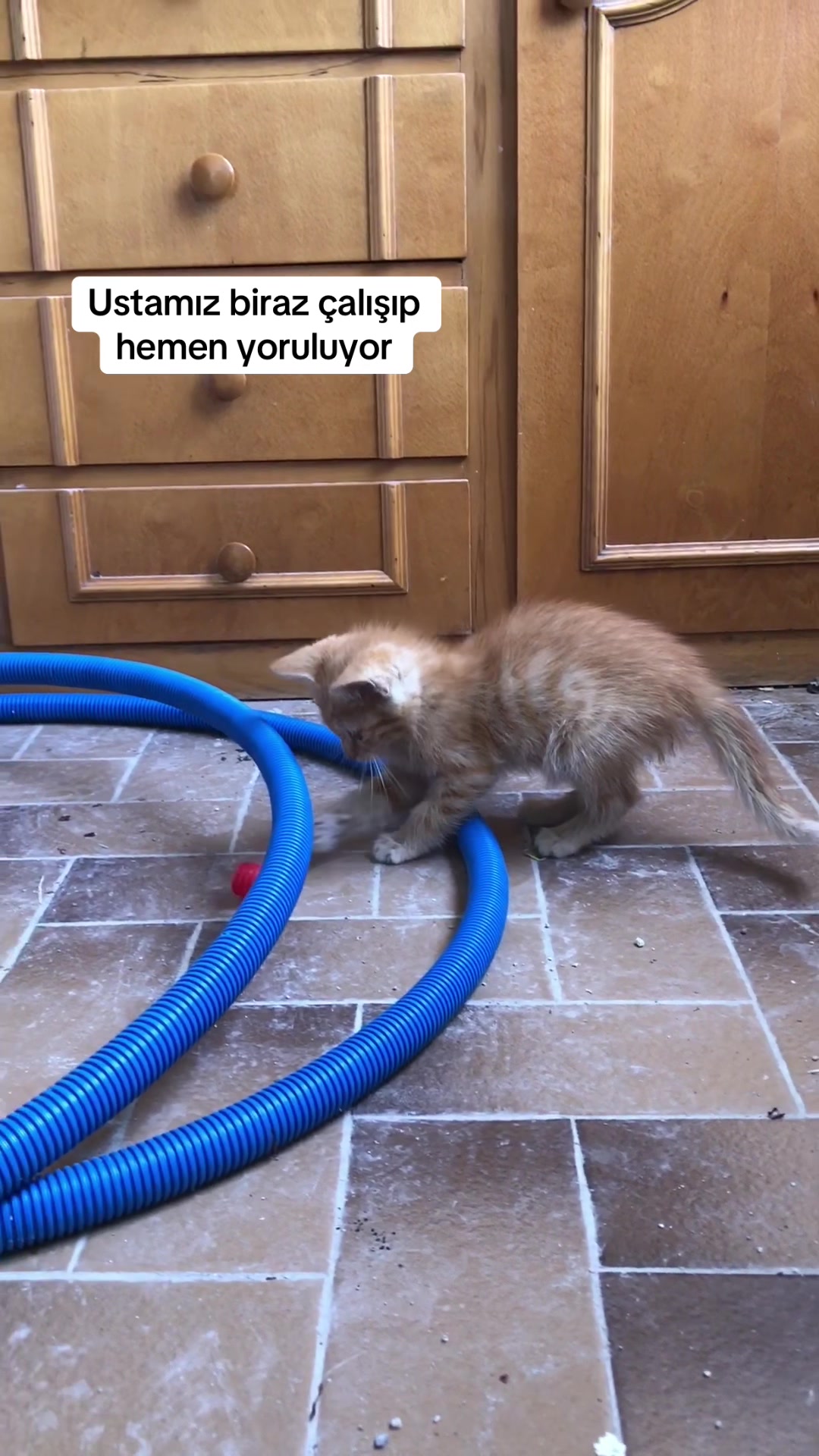 @Sinan Baykuş