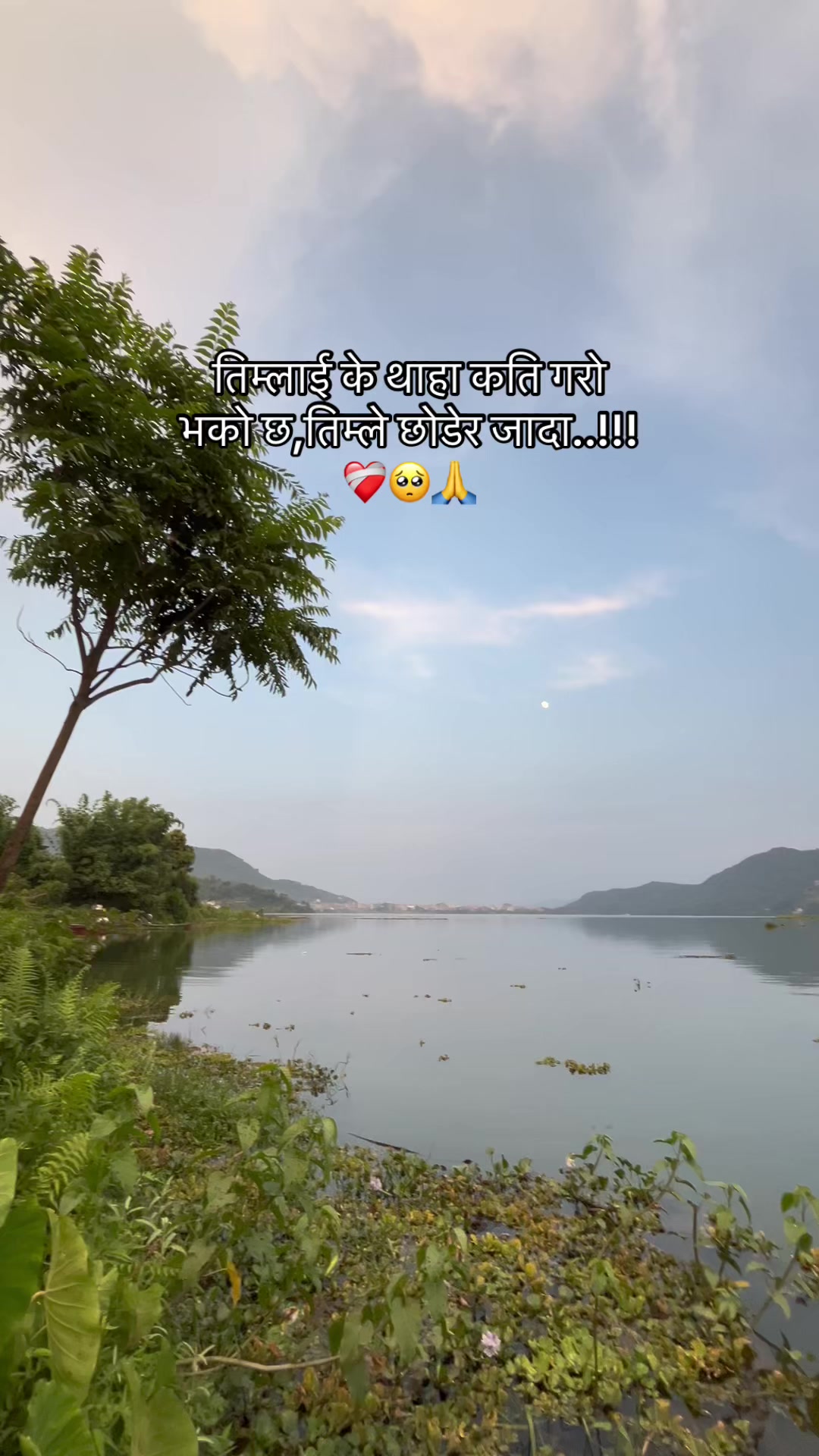 @☮️🕊️