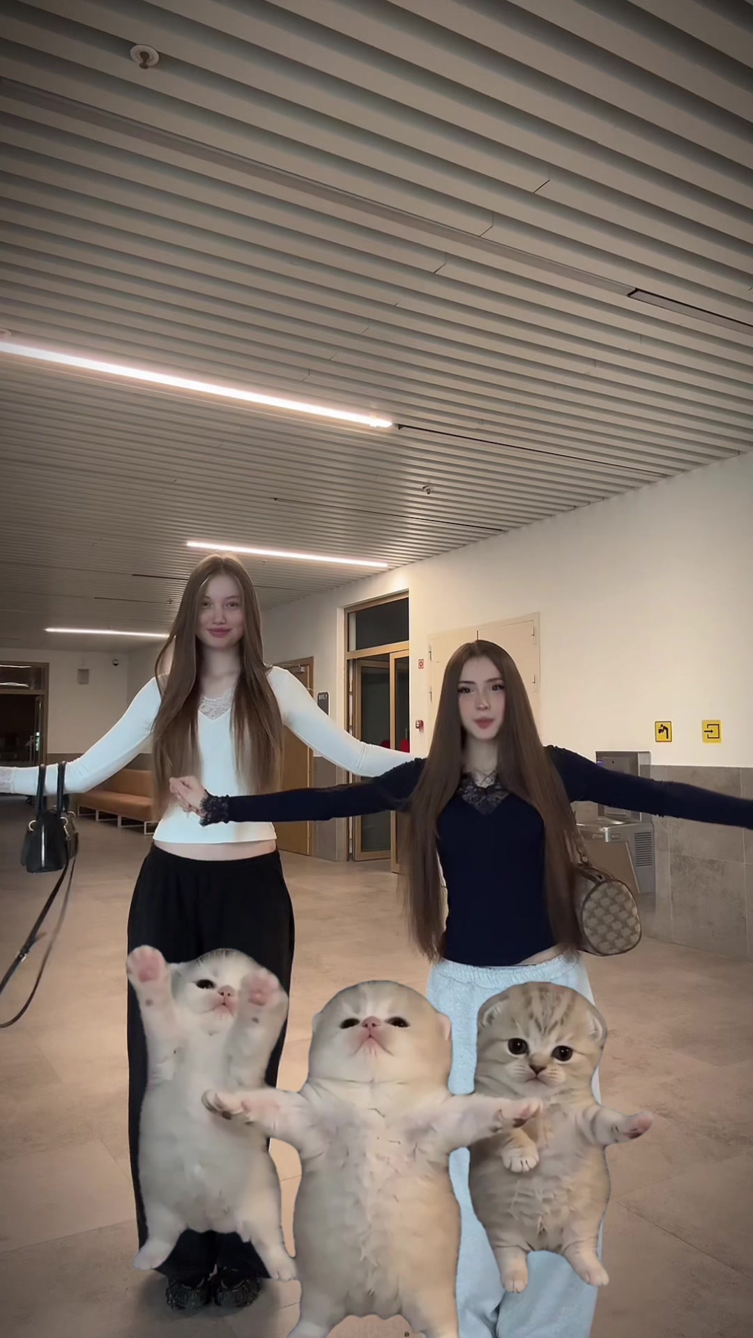 @тгк:секретный чатик🤍
