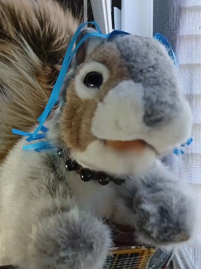 @Charles The Squirrel