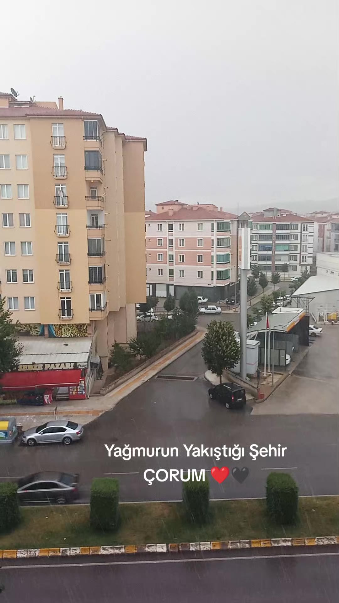 @MUSTAFA ÇABIK