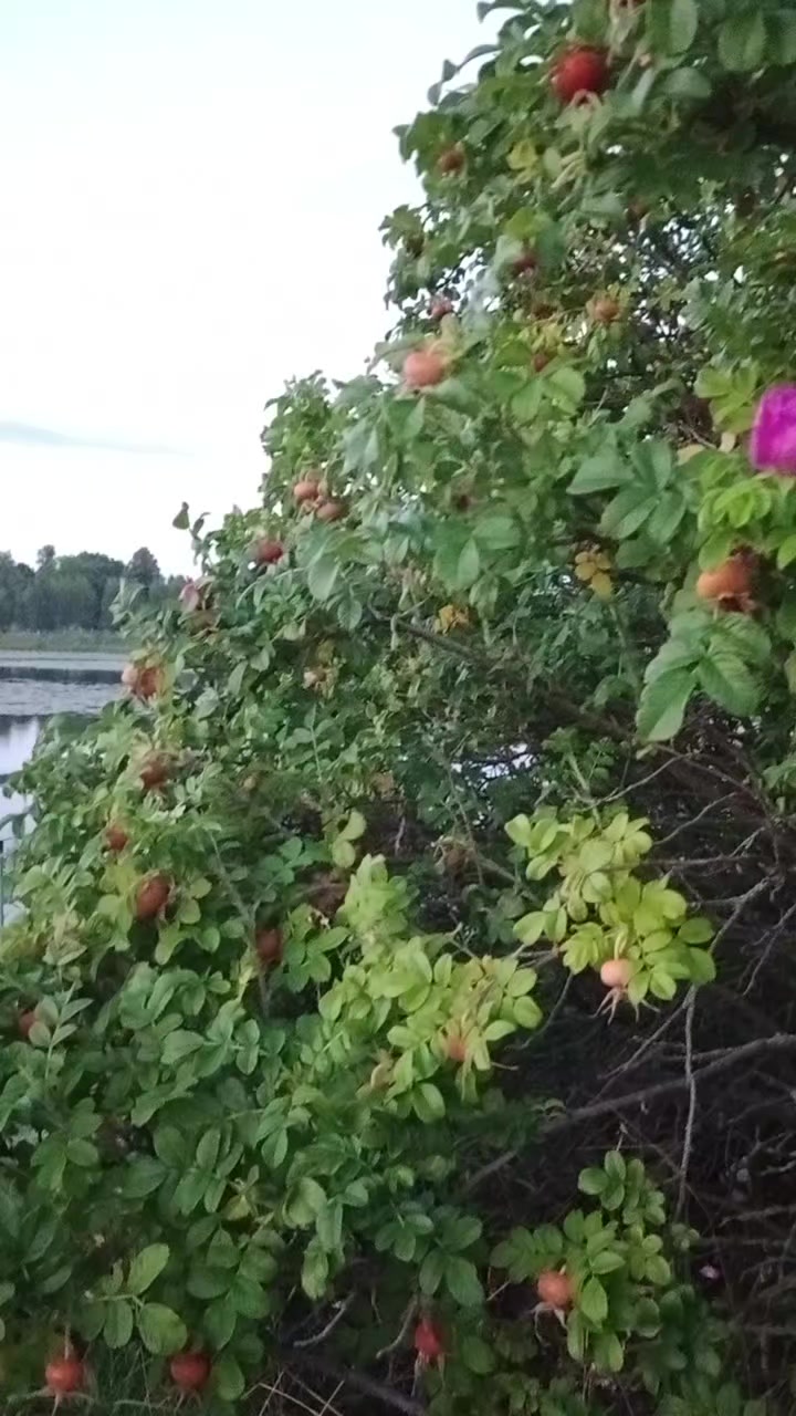 @LudmilaPat
