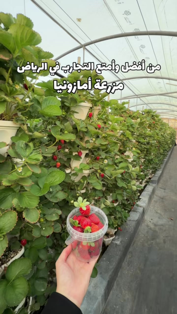 @همس محمد 🫶🏻 تغطيات