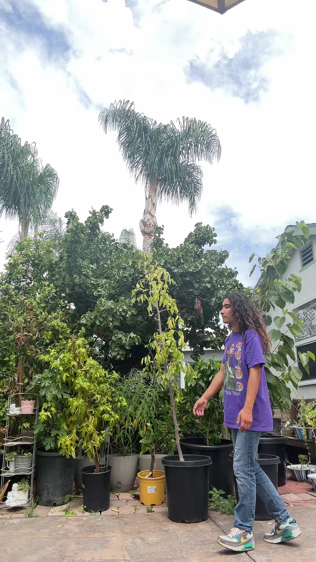 @Mrjessenavarro1