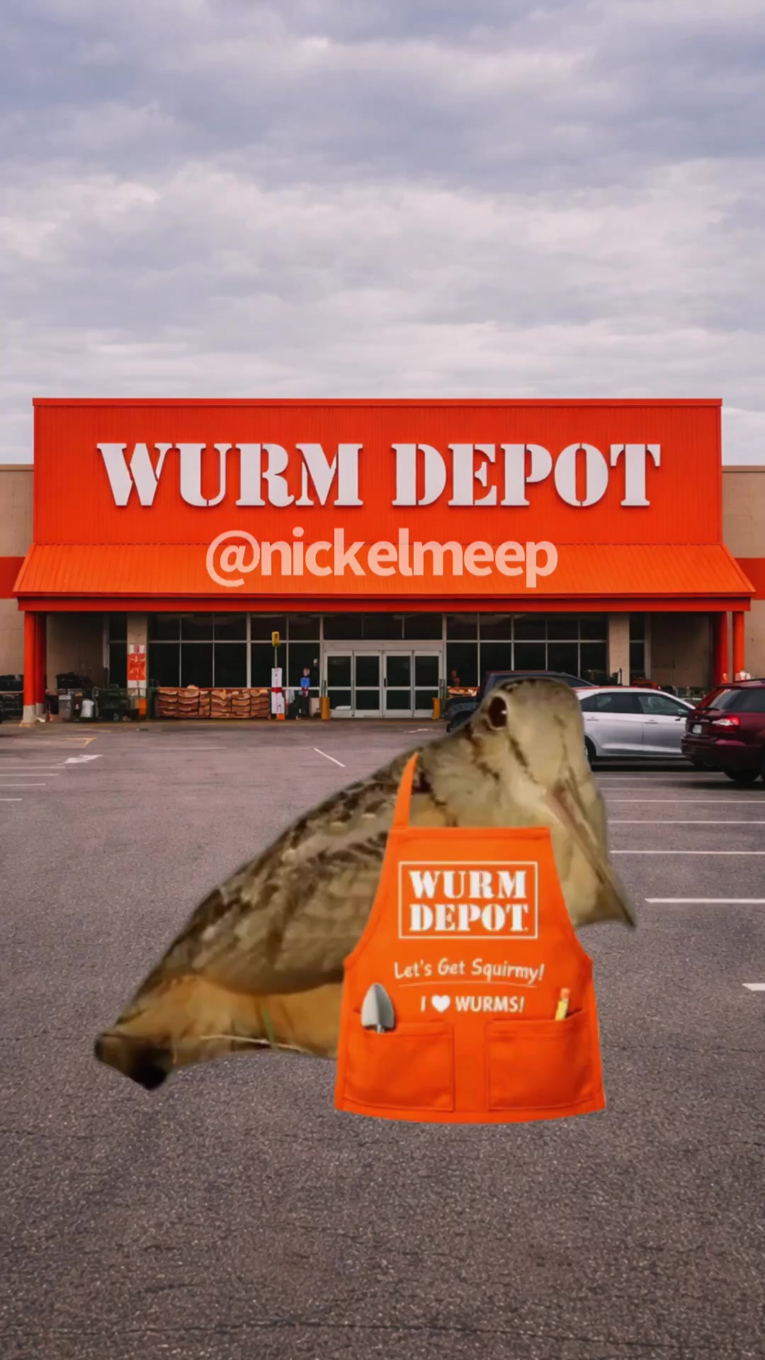 @nickelmeep
