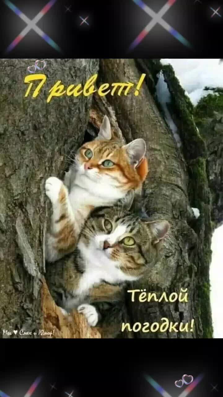 @Елена