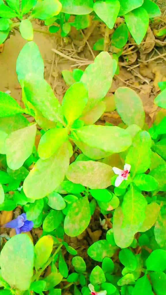 @vishramð¥ð¥ makwana