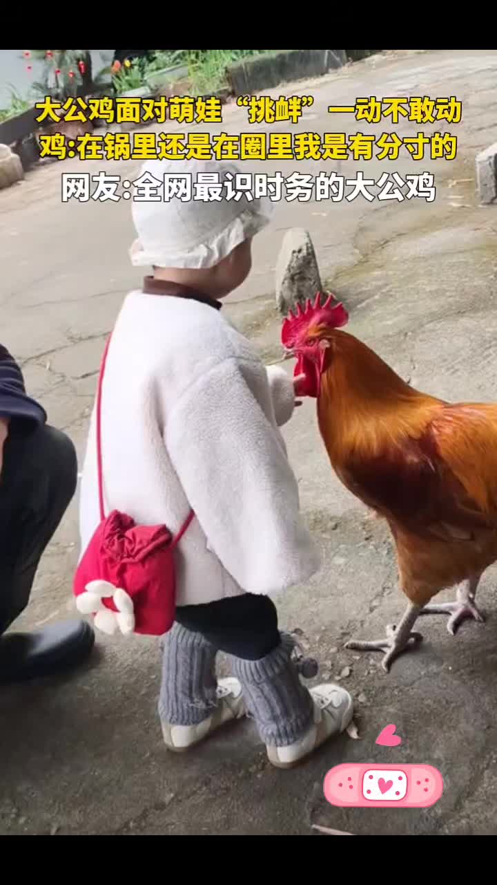 @18号