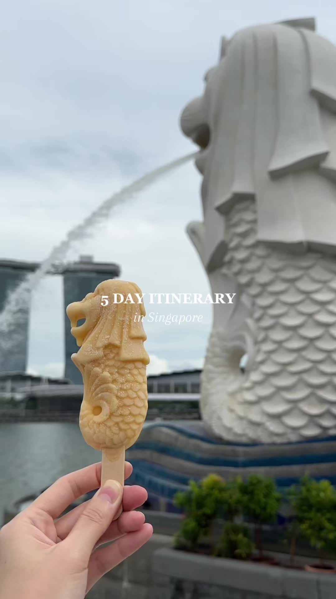 @Travel with Serene